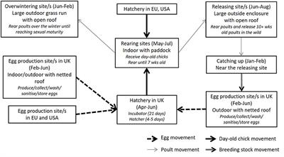 Assessing the Likelihood of High Pathogenicity Avian Influenza Incursion Into the Gamebird Sector in Great Britain via Designated Hatcheries